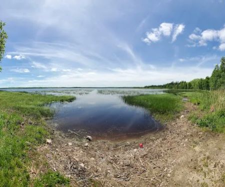 Big Rice Lake Rustic Campground