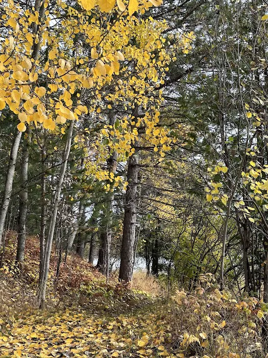 Mesaba Cooperative Park Picture 10