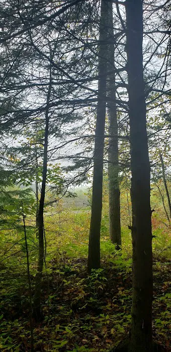 Stubler Beach and Campground Picture 3
