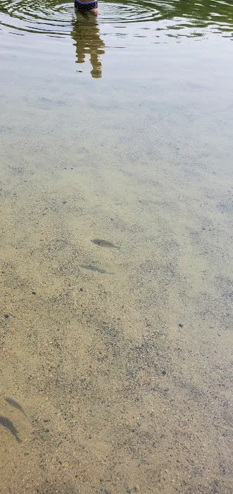Stubler Beach and Campground Picture 10