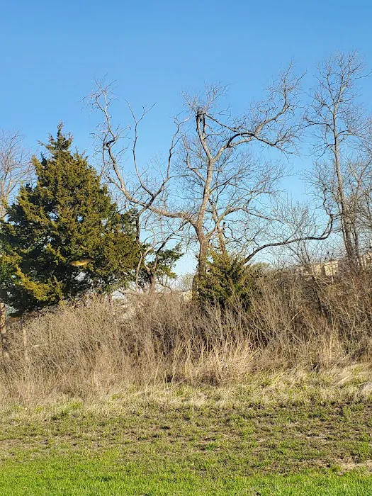 Sunflower Campground Picture 7