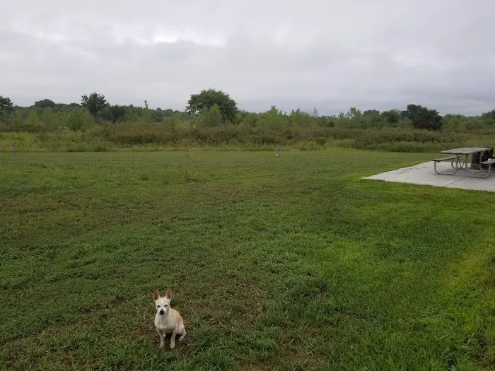 Scott Creek Campground Picture 3