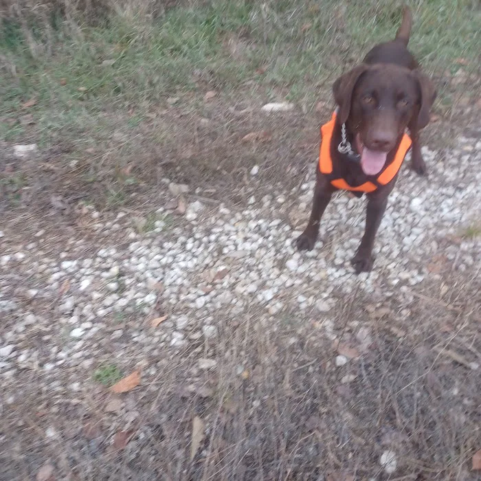 Scott Creek Campground Picture 10