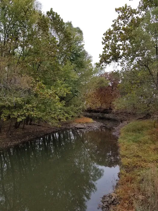 Scott Creek Campground Picture 9