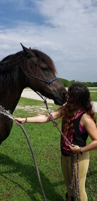 Hillsdale State Park Equestrian Camp Picture 2