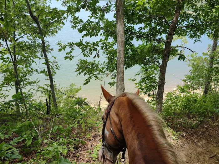 Hillsdale State Park Equestrian Camp Picture 10