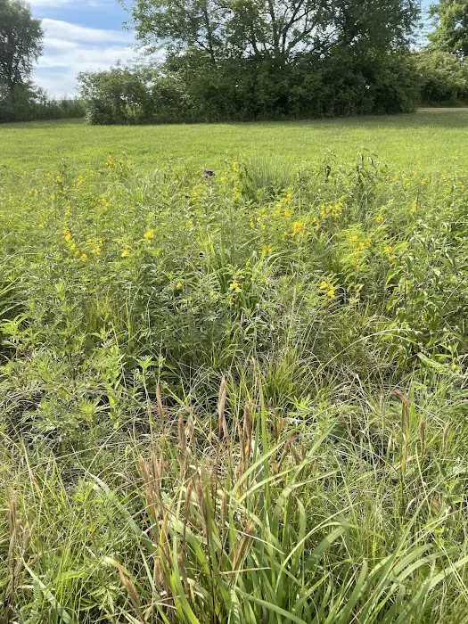 Quail Run Campground Picture 9