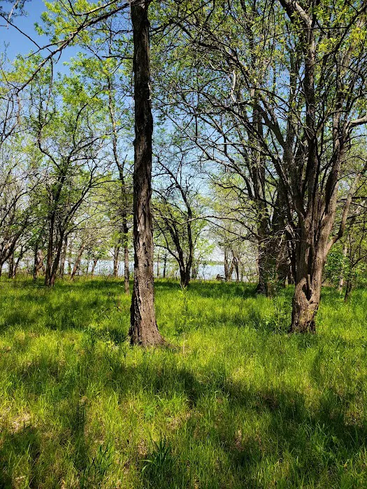 Crappie Cove Campground Picture 6