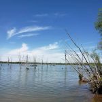 Crappie Cove Campground