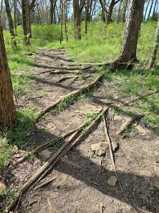 Big Bull Creek Youth Campground Picture 7