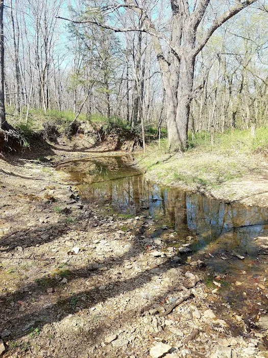 Big Bull Creek Youth Campground Picture 1
