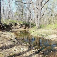Big Bull Creek Youth Campground ico