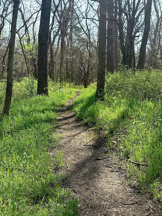 Big Bull Creek Youth Campground Picture 9