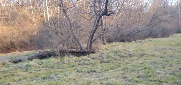 J46 Scout Ranch Picture 8