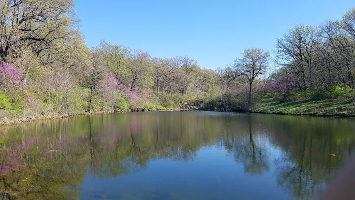 J46 Scout Ranch Picture 2