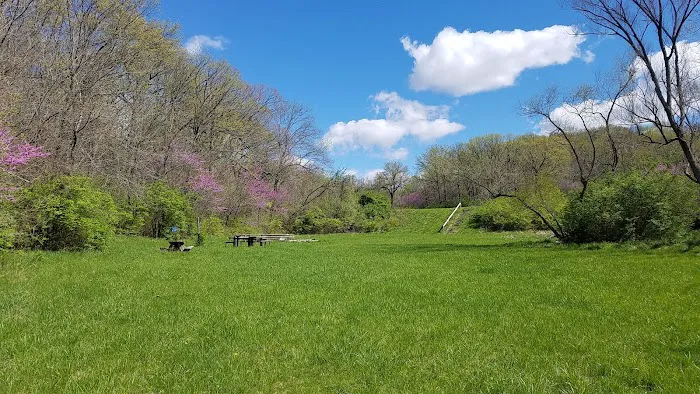 J46 Scout Ranch Picture 5