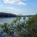 Pittsburg Campground