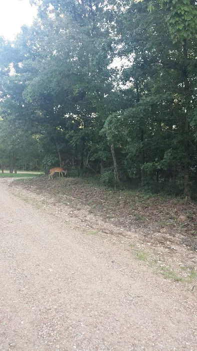 Whitesides Hidden Acres Picture 5
