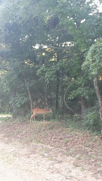 Whitesides Hidden Acres Picture 3
