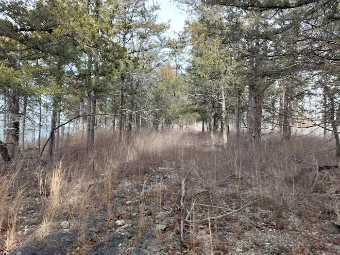 Pomme de Terre loop 428 Picture 3