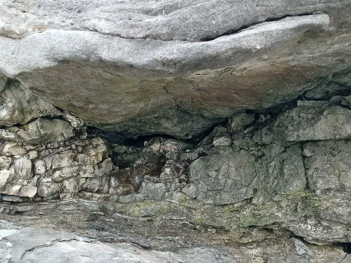 Pomme de Terre loop 428 Picture 7