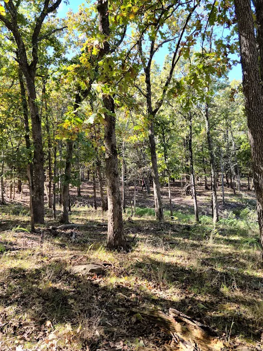 Pomme de Terre loop 428 Picture 9