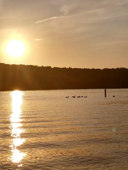 Pomme De Terre Beach Picture 1