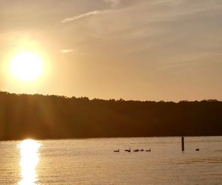 Pomme De Terre Beach