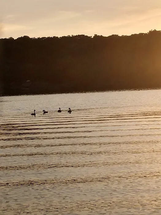 Pomme De Terre Beach Picture 3