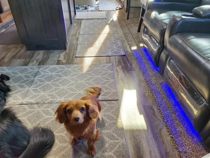 Harbor Campground Picture 4