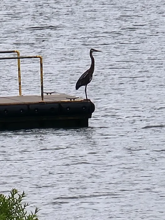 Pittsburg Park USACE Picture 3