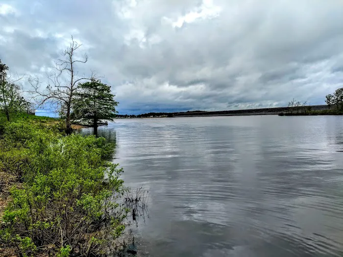 DamSite Campground, COE Picture 6