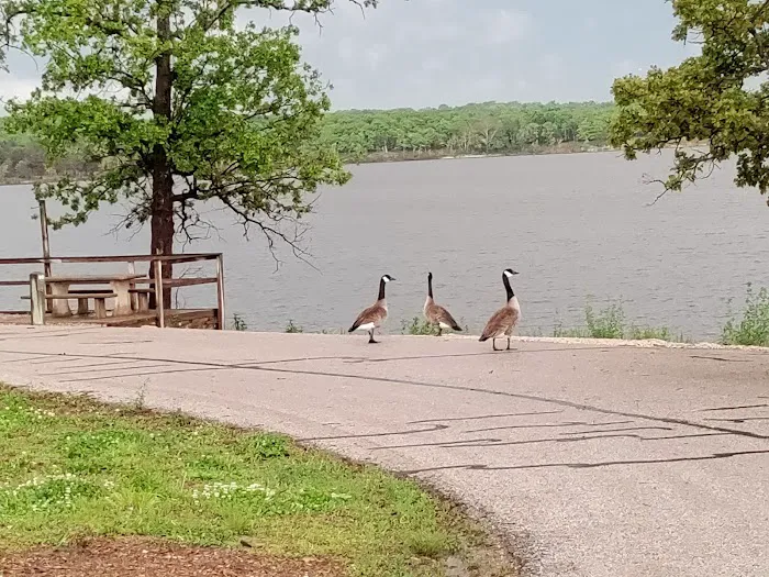 DamSite Campground, COE Picture 9