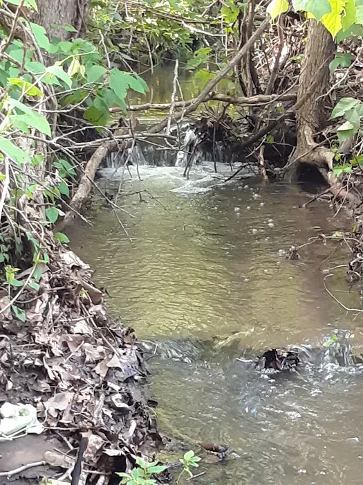 Evening Star Campground, Stockton Lake, MO Picture 2