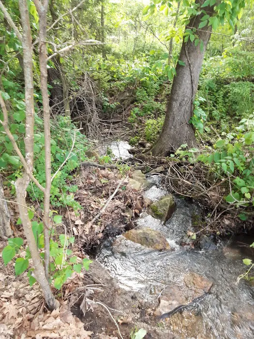 Evening Star Campground, Stockton Lake, MO Picture 4