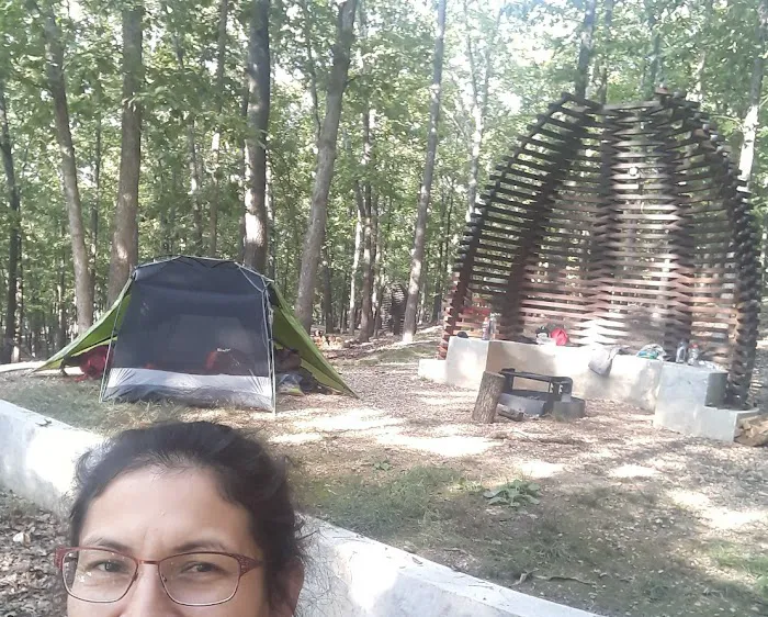 Karst Loop Campsite 3 Picture 7