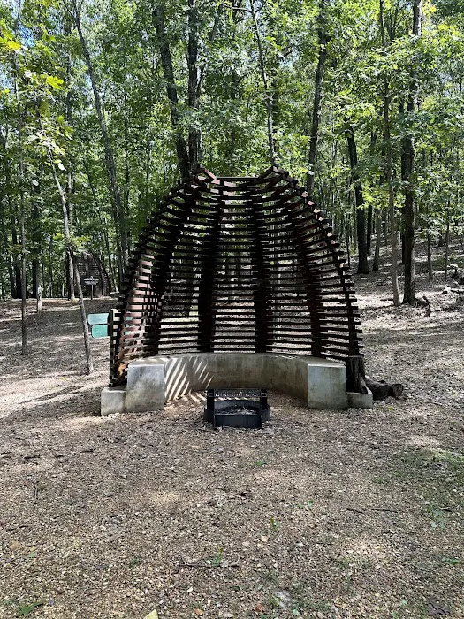 Karst Loop Campsite 3 Picture 8