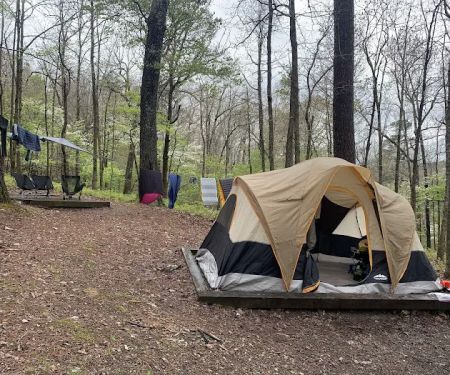 Pigeon Roost Campsite 3