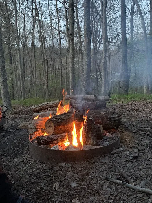 Pigeon Roost Campsite 3 Picture 3