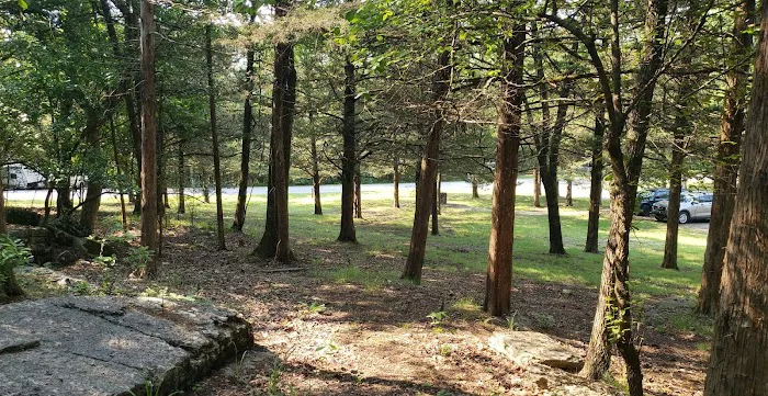 Rocky Branch Park Picture 8