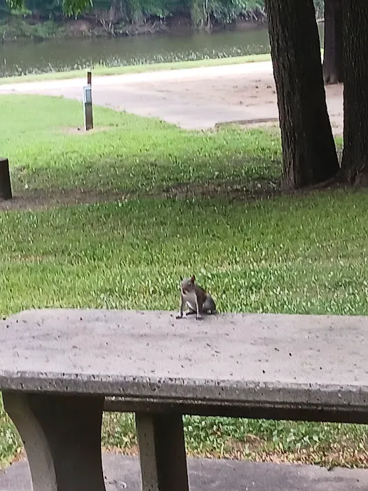 Clear Creek Park Campground Picture 5
