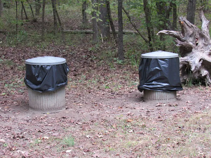 Fossil Flats Walk-In Campgroud Picture 3