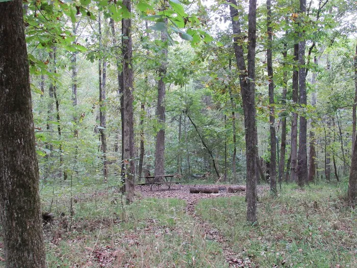 Fossil Flats Walk-In Campgroud Picture 8