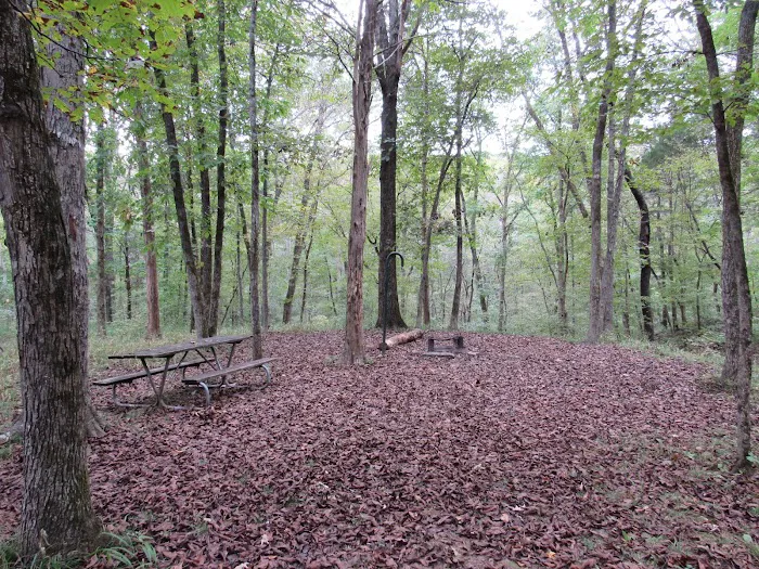 Fossil Flats Walk-In Campgroud Picture 9