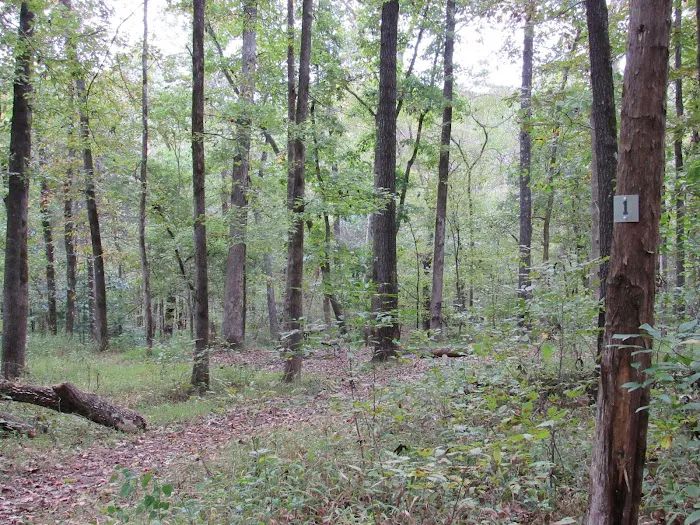 Devil’s Den Area A Picture 6