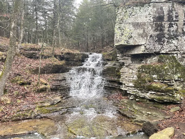 Quail Valley Picture 5