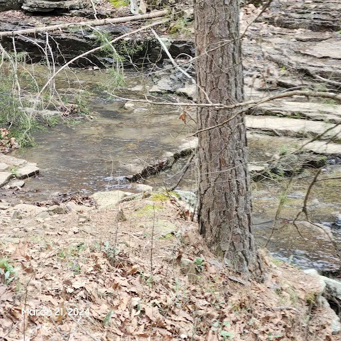 Quail Valley Picture 1