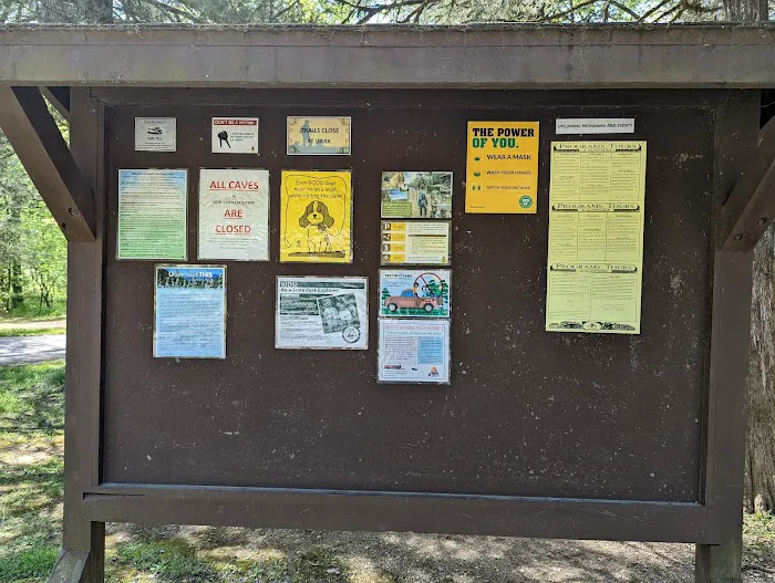 Devil’s Den Area D Group Camp Picture 1