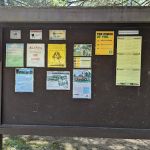 Devil’s Den Area D Group Camp