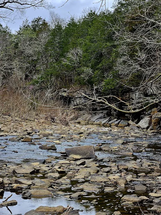 Devils Den Campground E Picture 6